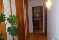 Stilvolles Wohnhaus mit besonderem Flair nahe Badeteich Hirschstetten