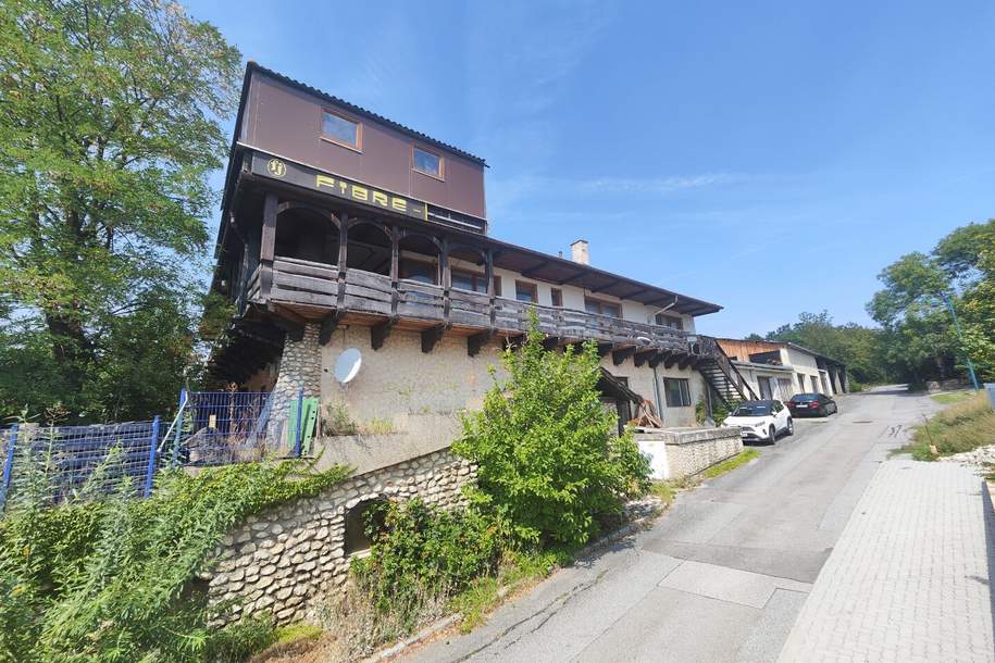 Ehemalige Tischlerei mit Wohnhaus - Viel Platz für Wohnen und Arbeiten, Wohnung-kauf, 305.000,€, 2141 Mistelbach