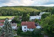 Einfamilienhaus mitten im Grünen mit viel Potenzial und Gestaltungsmöglichkeiten