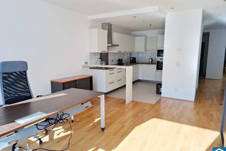 Wohnen und Arbeiten im herrschaftlichen Palais beim Schwarzenbergplatz, Wohnung-kauf, 1.200.000,€, 1040 Wien 4., Wieden