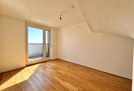 Penthouse mit Donaublick und 360 Grad Dachterrasse - direkt an der Alten Dona