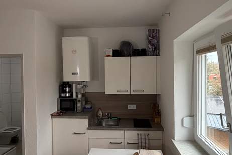 Charmantes 1-Zimmer-Apartment in Burgau (Provisionsfrei), Wohnung-miete, 300,50,€, 8291 Hartberg-Fürstenfeld
