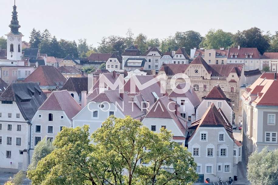 Traumhaft - Altbauflair - 5 Zimmer 166m² Wohnung mit kleiner Loggia in Steyr - nahe Zentrum, Wohnung-miete, 1.474,17,€, 4400 Steyr(Stadt)