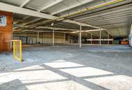 GIGANTISCH gesucht? HIER RICHTIG