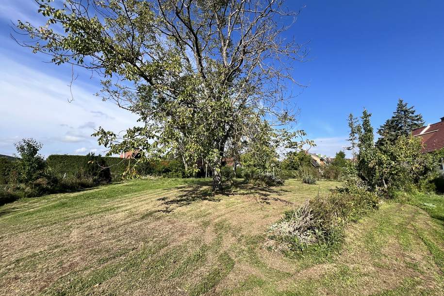 Baugrundstück mit 701 m2, Grund und Boden-kauf, 235.000,€, 2551 Baden