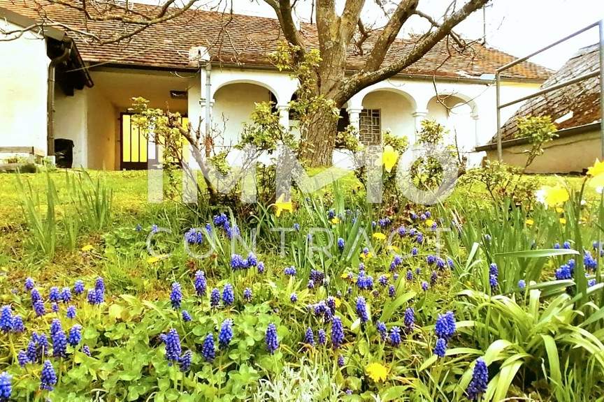 Hübscher Arkadenhof, idyllischer Garten - Umgeben von Weinbergen und dem beliebten Geschriebenstein, Haus-kauf, 128.000,€, 7471 Oberwart