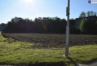 Erstklassiger Bauträgergrund mit durchdachter Planstudie in bester Lage – optimale Voraussetzungen für Ihr Bauprojekt!