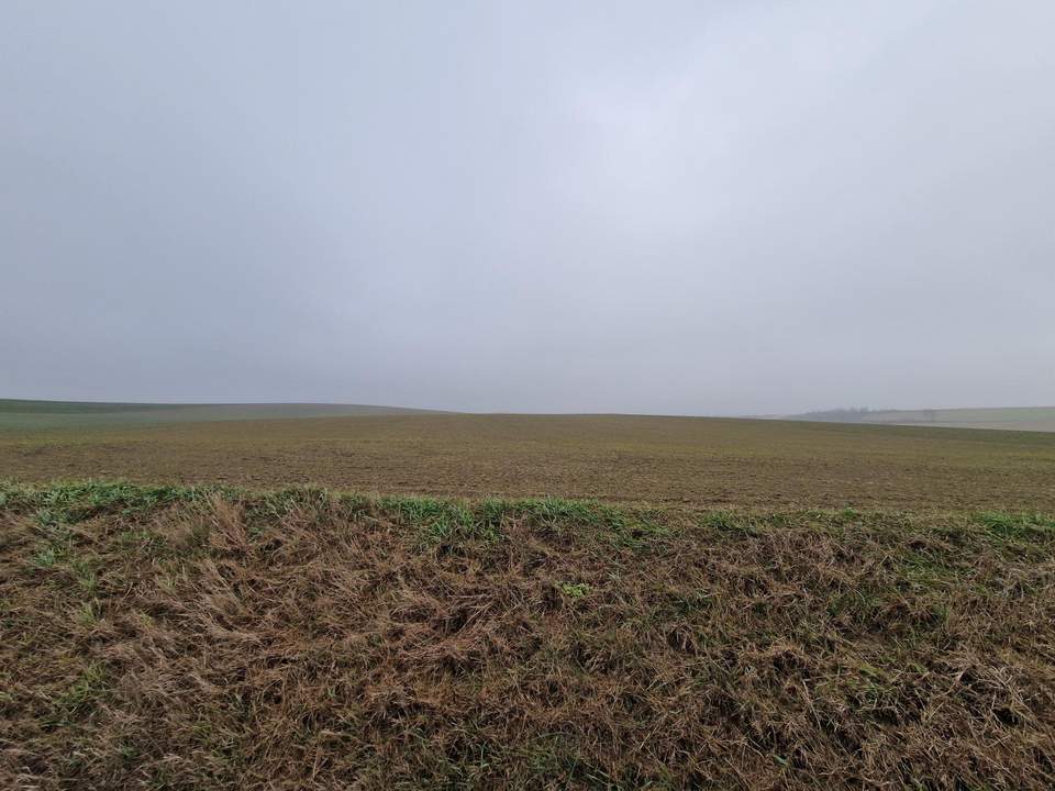 TOLLE ACKERFLÄCHE IN SÜDSEITIGER AUSRICHTUNG MIT GUTER BONITÄT IN GROßMUGL