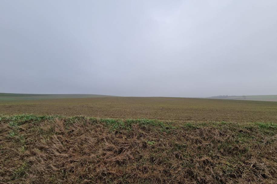 TOLLE ACKERFLÄCHE IN SÜDSEITIGER AUSRICHTUNG MIT GUTER BONITÄT IN GROßMUGL, Grund und Boden-kauf, 145.776,€, 2002 Korneuburg