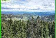 Attraktiver Baugrund in Hochrindl: Ski-in-Nähe, Freizeitwohnsitz & Investmentchance