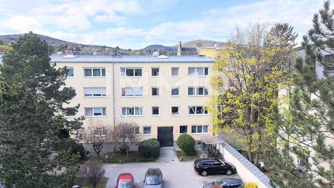 ruhige, sonnige Wohnung in Zentrumsnähe