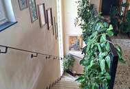 Privatverkauf! Zentrales, sehr gepflegtes Stadthaus mit kleinem Garten, Garage, Pergola und Keller (Provisionsfrei)