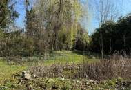 Haus mit 180 m² Garagenhalle und großem Garten