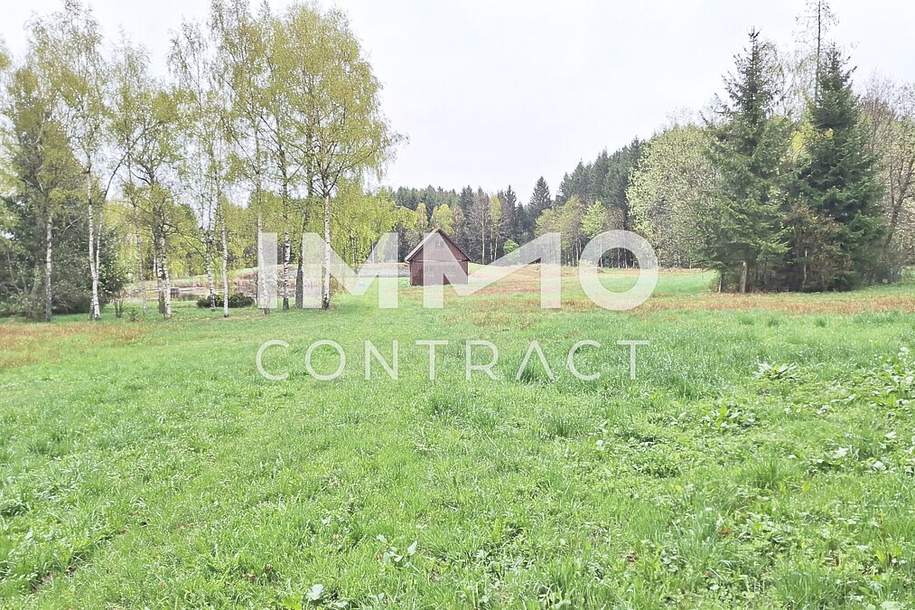 Großes Grundstück mit Fischteich und Badeteich, Erholungsanlage, Freizeitparadies mit viel Potenzial, Grund und Boden-kauf, 280.000,€, 3632 Zwettl