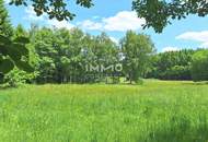 Großes Grundstück mit Fischteich und Badeteich, Erholungsanlage, Freizeitparadies mit viel Potenzial