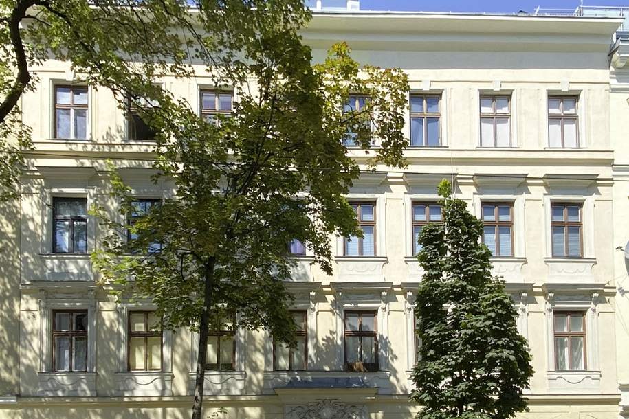 Charmante Altbauwohnung mit Potenzial in zentraler Lage, Wohnung-kauf, 269.000,€, 1200 Wien 20., Brigittenau