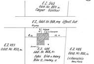 Zwei Häuser. Ein Rückzugsort. Ihre grüne Oase vor den Toren Wiens.