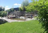 Seltene Gelegenheit: Große Halle mit Wohnung, Garten und Schwimmteich