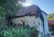 Märchenhaft großes Grundstück in Handlage mit grandiosen Ausblick auf die Burgruine Rehberg in 3500 Krems an der Donau