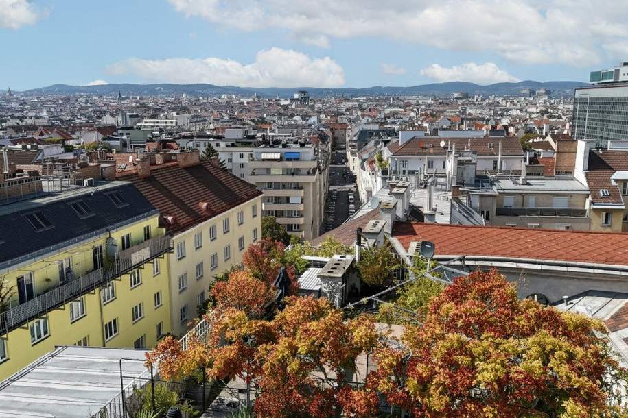 Blick über Wien I 3 Außenflächen I ca. 67 m² beeindruckender Wohn-Essbereich I Stellplätze im Haus verfügbar I, Wohnung-kauf, 1.395.000,€, 1040 Wien 4., Wieden