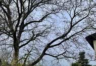 Traumhaftes BaugrundstÃŒck mit Altbestand in sehr guter Lage!