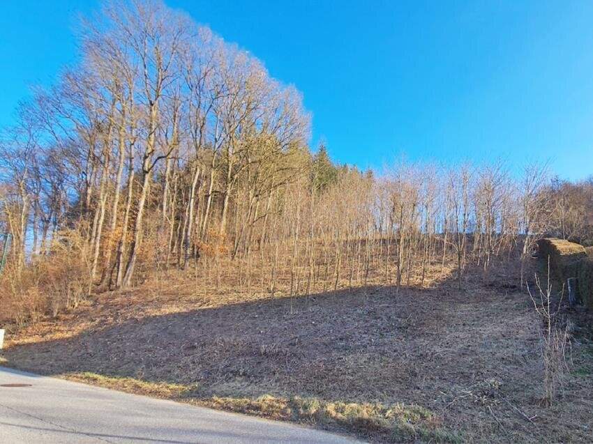 Sonniges Baugrundstück auf Südwest-Hang im Irenental