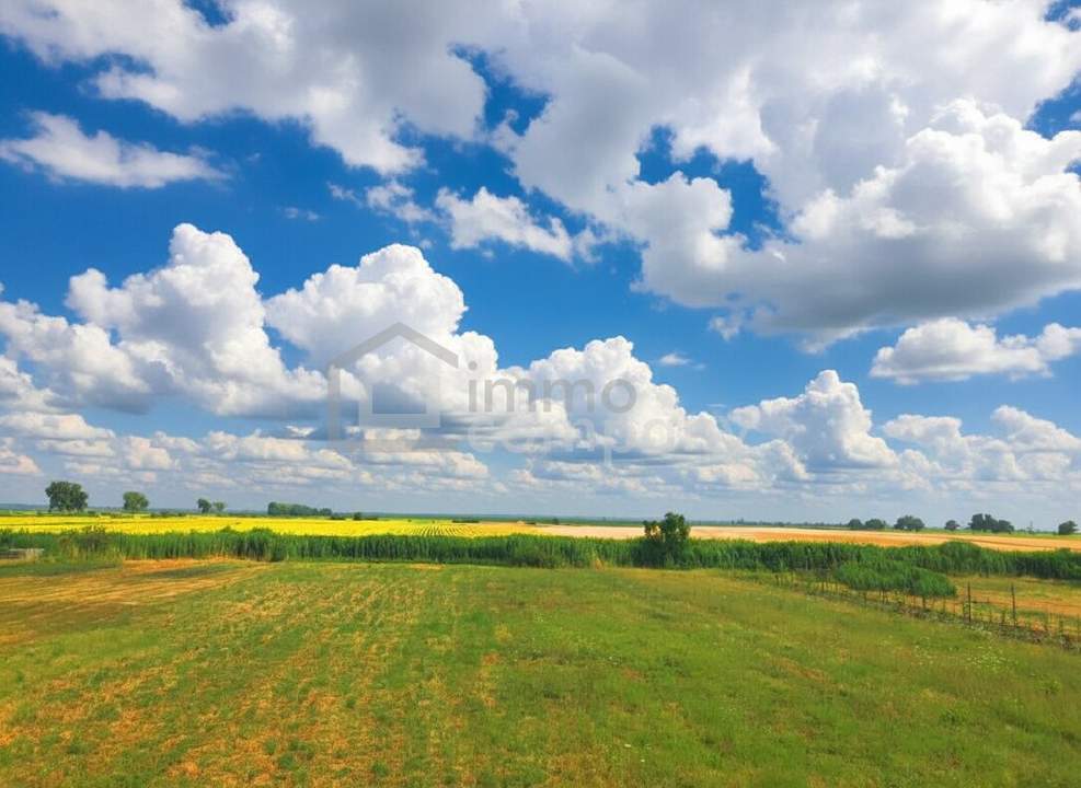 Ertragreiche landwirtschaftliche Nutzfläche