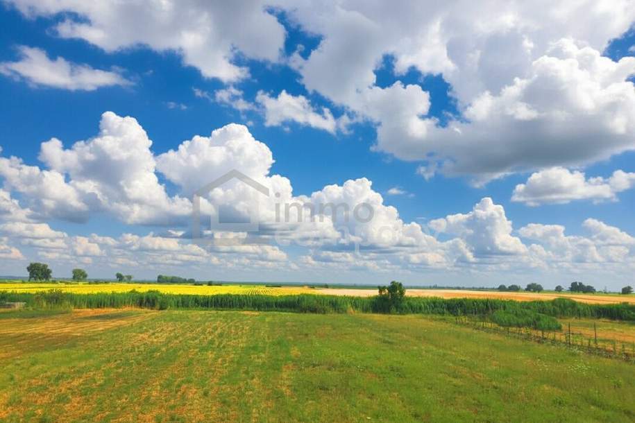 Ertragreiche landwirtschaftliche Nutzfläche, Grund und Boden-kauf, 140.000,€, 2422 Neusiedl am See