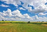 Ertragreiche landwirtschaftliche Nutzfläche