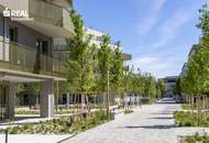 Hirschfeld - Ihr neues Zuhause im Grünen - anfragen, besichtigen, einziehen - 41 bis 96 m²