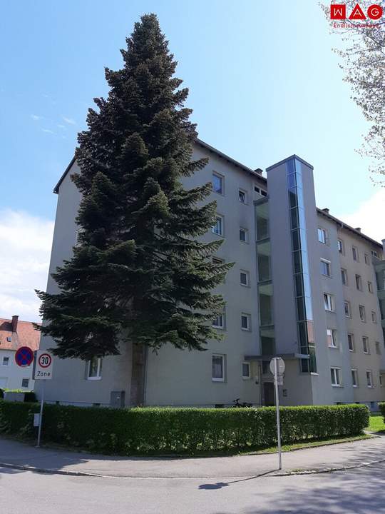 Sanierung abgeschlossen: lichtdurchflutete 1-Zimmer-Wohnung mit optimaler Raumaufteilung – komfortabel, leistbar und mitten im Grünen! Mit praktischem Abstellraum, Aufzug und hellem Badezimmer!