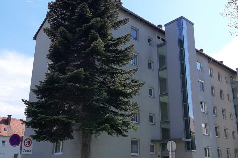 Sanierung abgeschlossen: lichtdurchflutete 1-Zimmer-Wohnung mit optimaler Raumaufteilung – komfortabel, leistbar und mitten im Grünen! Mit praktischem Abstellraum, Aufzug und hellem Badezimmer!, Wohnung-miete, 457,44,€, 4400 Steyr(Stadt)