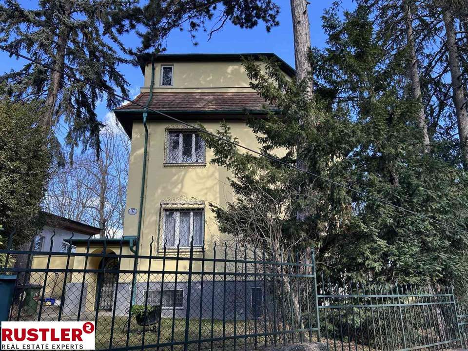 Alt Wiener-Villa in attraktiver Lage des 19.Bezirks
