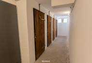 Neu sanierte 4-Zimmer-Eckwohnung im 2. Liftstock