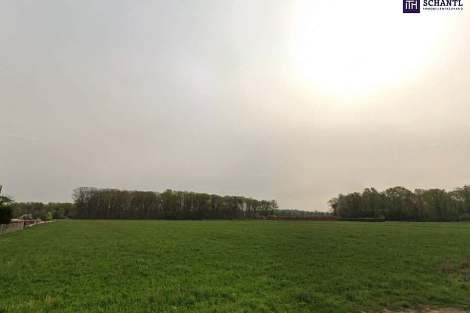 Riesen Potenzial - ca. 1h großes GEWERBEGRUNDSTÜCK 0,3 - 2,0 Dichte mit direkter Nähe zur Autobahn und zur Eisenbahn! Alternativen in der Umgebung auch verfügbar!, Grund und Boden-kauf, 1.099.000,€, 8430 Leibnitz