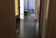 *** IDEALE KOMBINATION AUS RUHE, POTENTIAL UND NATUR ***