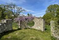 Seminarraum trifft Kraftplatz und Wohntraum, im Garten der Seele!