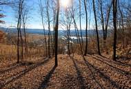 Natur vor der Haustür – Grundstück mit Weitblick und Grünlandanschluss