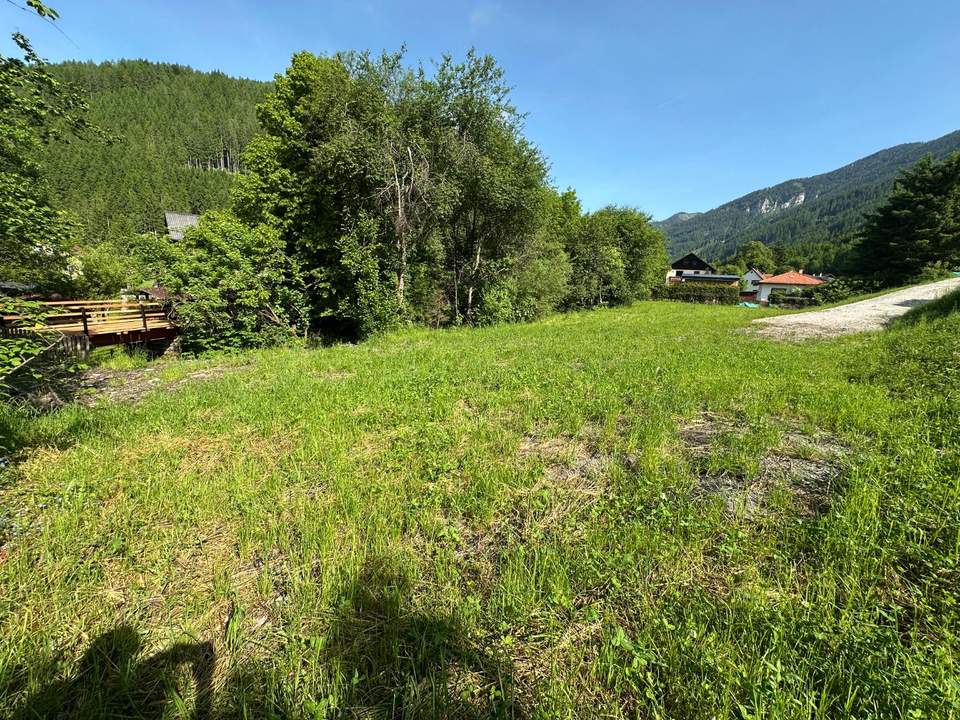 ***Baugrundstück in idyllischer Lage mit Bachlauf (134/11) – Ihr Traumhaus wartet auf Sie!***