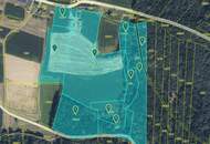 Natur Pur - Landwirtschaft mit Kellerstöckl - Flächen flexibel Erwerbbar!