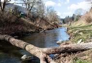 Gartenidylle am Wienfluss – Erstbezug mit Terrasse