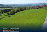 Wohnen am Pöllauberg! Bauplätze in bester Lage mit Aussicht und Lebensqualität!