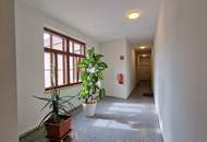 Stilvolle 2-Zimmer-Altbauwohnung im Zentrum – Erstbezug nach Generalsanierung!