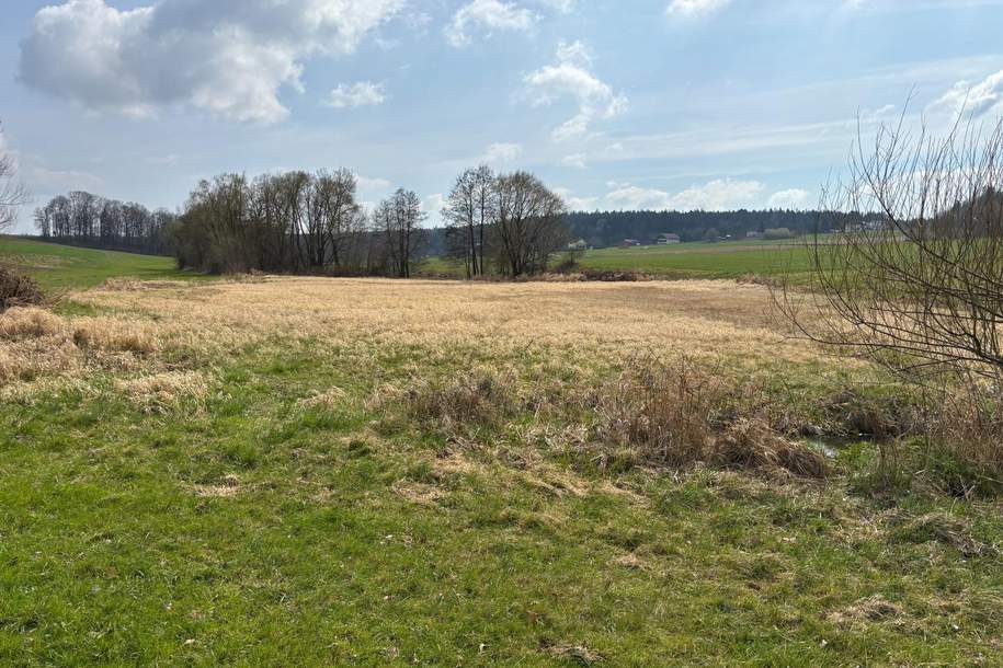 Landwirtschaftlicher Nutzgrund, Grund und Boden-kauf, 205.000,€, 4950 Braunau am Inn