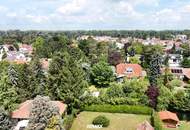 "einmalige Gelegenheit in Tulln"