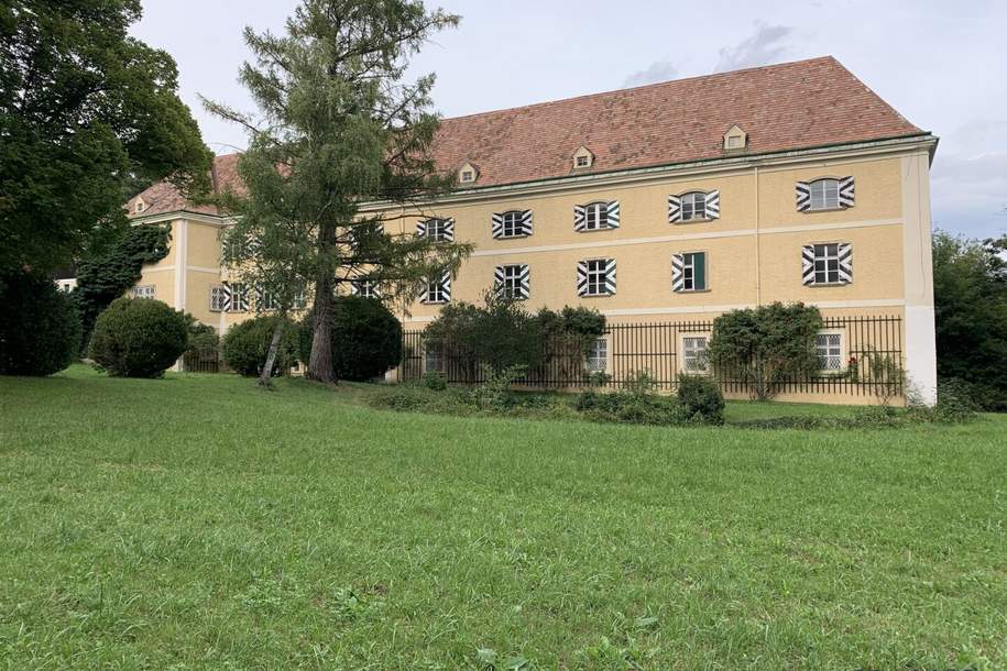 TOP-Wohnung im Schloss mit idyllischem Parkblick und vielen weiteren Annehmlichkeiten, Wohnung-kauf, 480.000,€, 2732 Neunkirchen