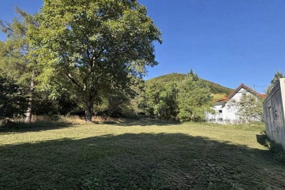 Baugrundstück in Sattelbach zu kaufen!, Grund und Boden-kauf, 159.000,€, 2532 Baden
