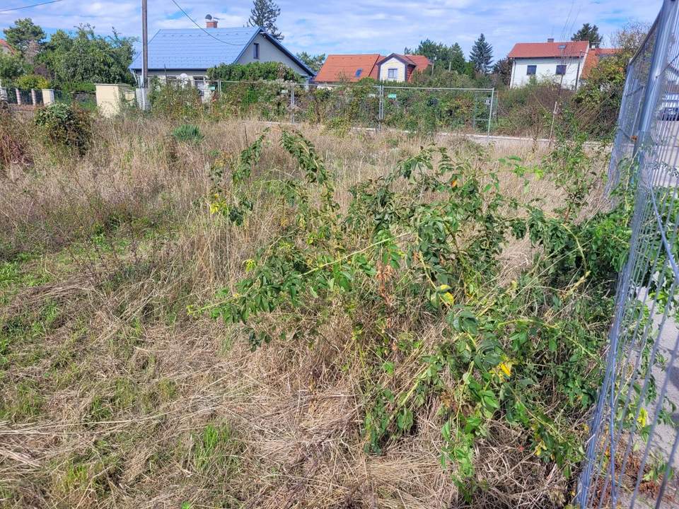 "Hier entstehen unsere eigenen 4 Wände im Grünen!"