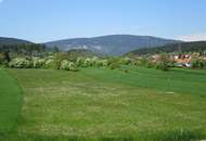 Tankstelle Frei- nicht Vertragsgebunden, Werkstatt 2 Betriebswohnungen und Gewerbegrund