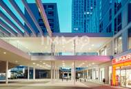 City Above, Silence Within: Level 22 - Where Vienna Meets the Sky